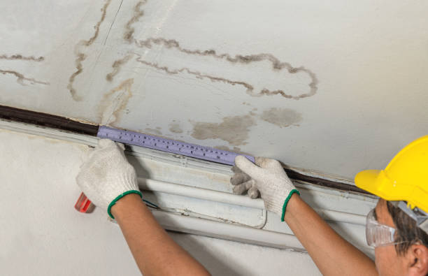 Reliable Flood Cleanup contractor in Wentzville, MO by Water Damage Irwin